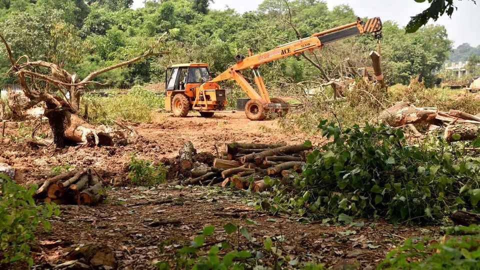 Aarey Tree