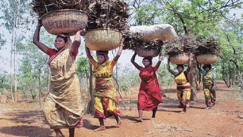 The Adivasi Question Issues of Land, Forest and Livelihood by Indra Munshi