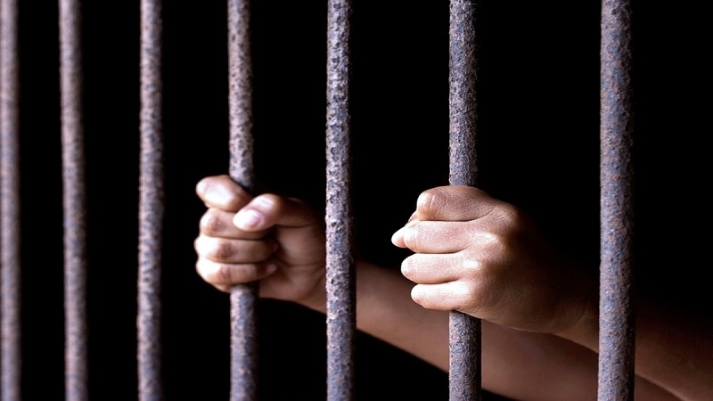 Maharashtra House Panel Recommends 5-Day Jail Term for 4 Journalists Over Defamation of MLC Mitkari