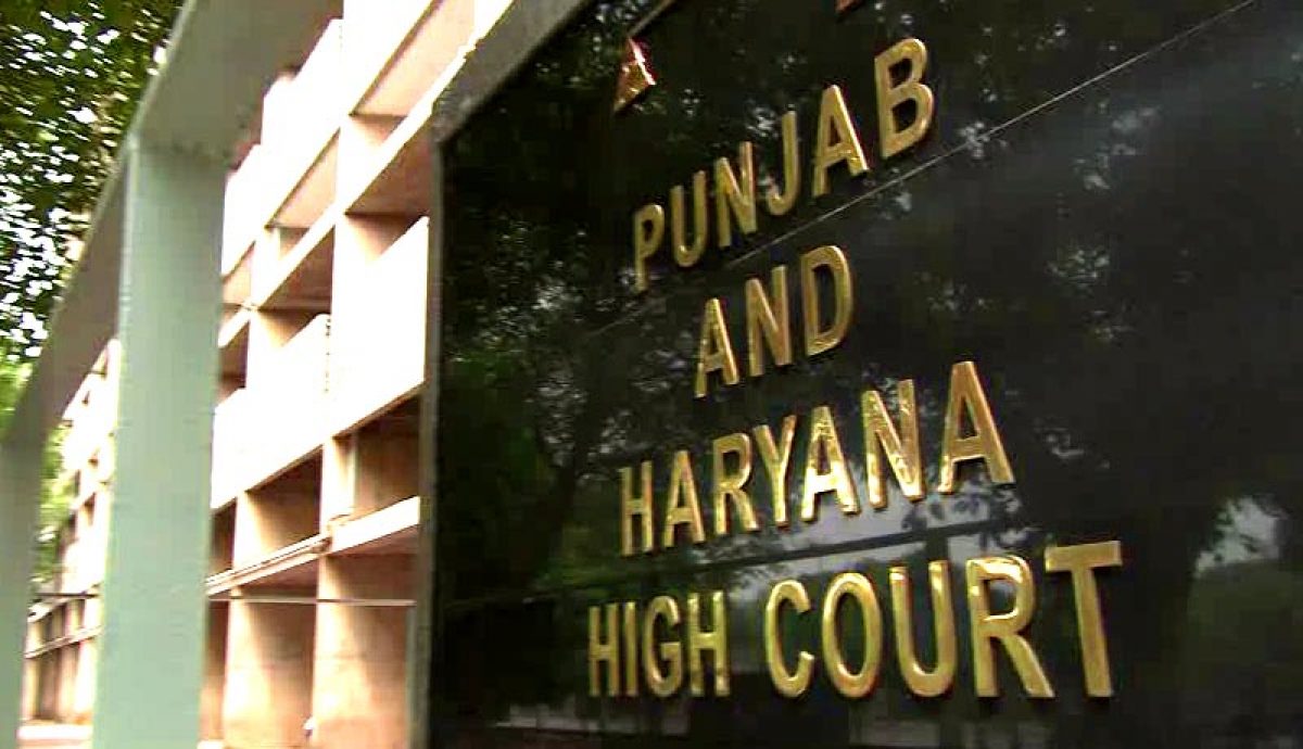 Judiciary Judgement Punjab And Haryana High Court Punjab And