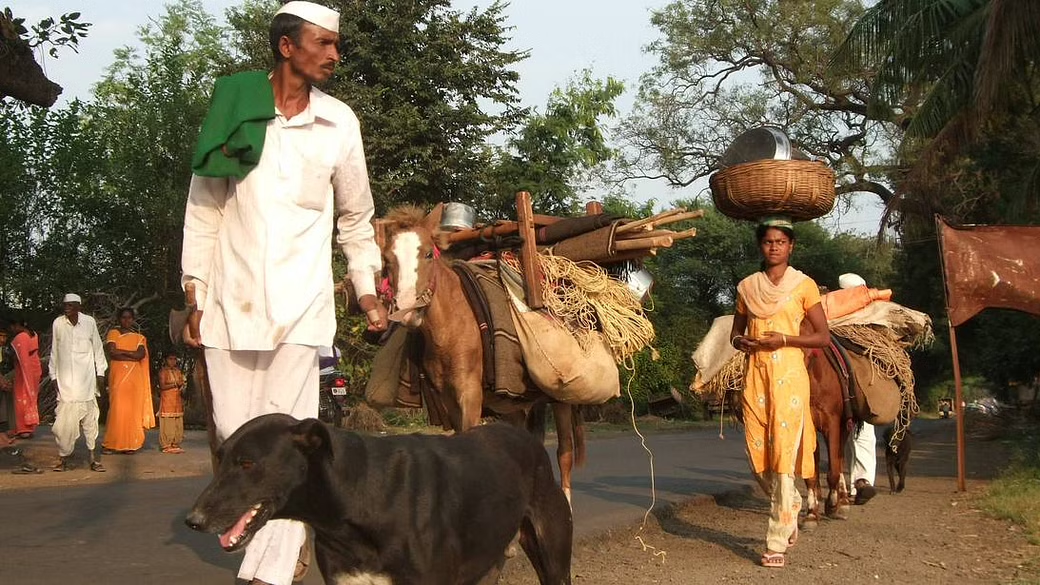 Shepherds in Maharashtra