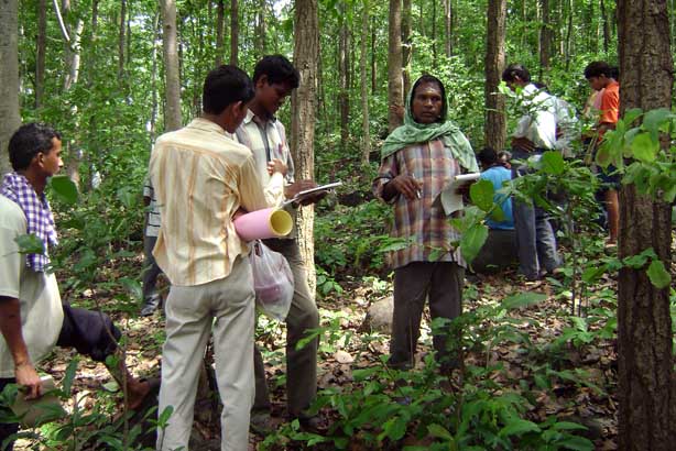 2022 Forest Conservation Rules 