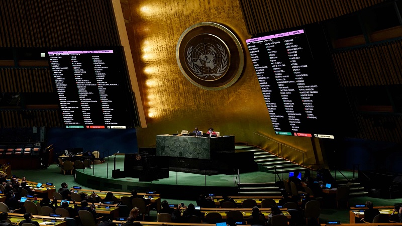 The UN Economic and Social Council