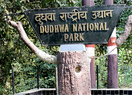 Dudhwa national park