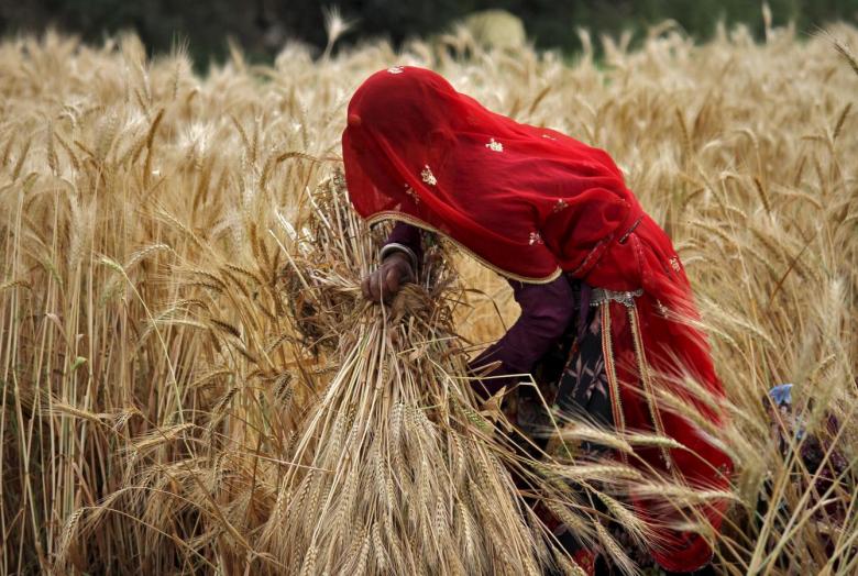 Indian women farmers
