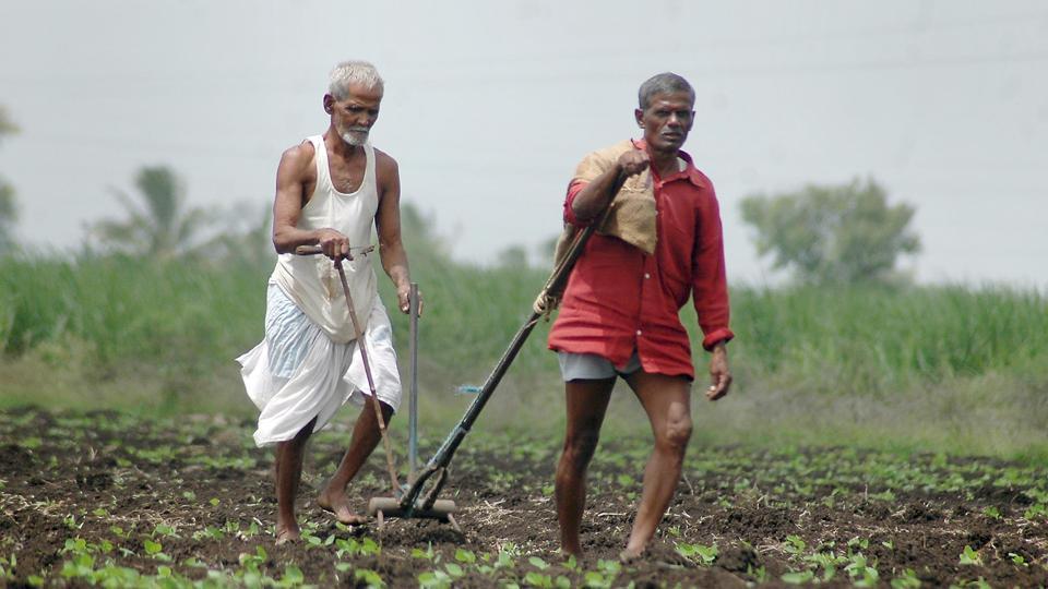 maharashtra farmers