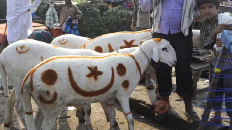 Bakrid and the forced controversy around animal sacrifice | SabrangIndia